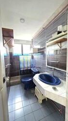 Sunbird View (D16), Apartment #529746051